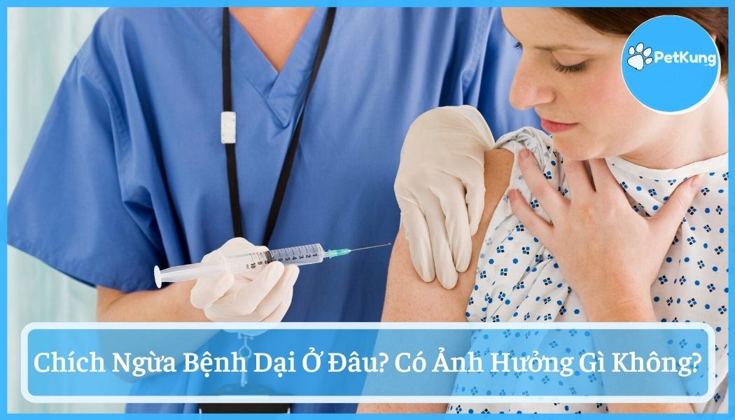 Chích ngừa bệnh dại ở đâu? có ảnh hưởng gì không?
