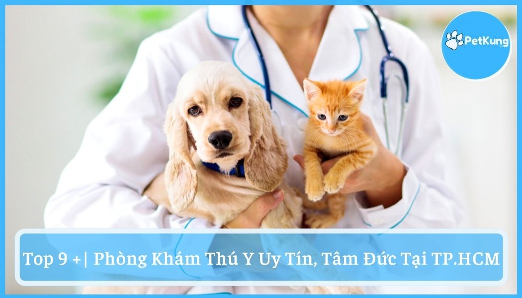 【top 9+】- phòng khám thú y uy tín, tâm đức tại tphcm