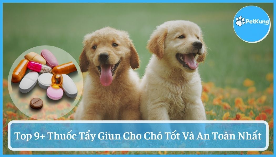 【tổng hợp】- 9 loại thuốc tẩy giun cho chó tốt và an toàn