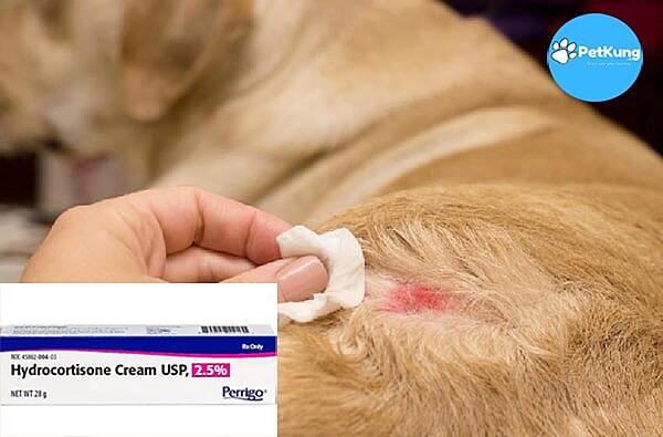  Thuốc bôi trị viêm da ở chó Hydrocortisone Genetic Cream 2.5%