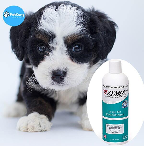 Thuốc chữa viêm da cho chó Zymox Veterinary Strength Enzymatic Dog & Cat Leave-on Conditioner